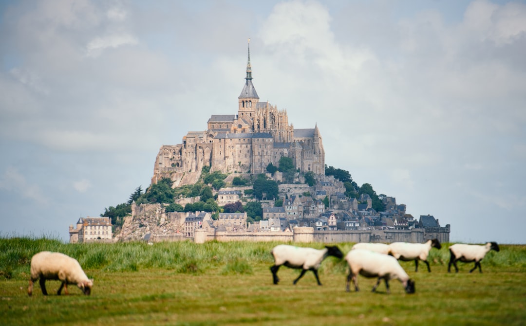 Paysage normand avec le Mont-Saint-Michel pour illustrer l’accès aux stages dans le Sud-Manche