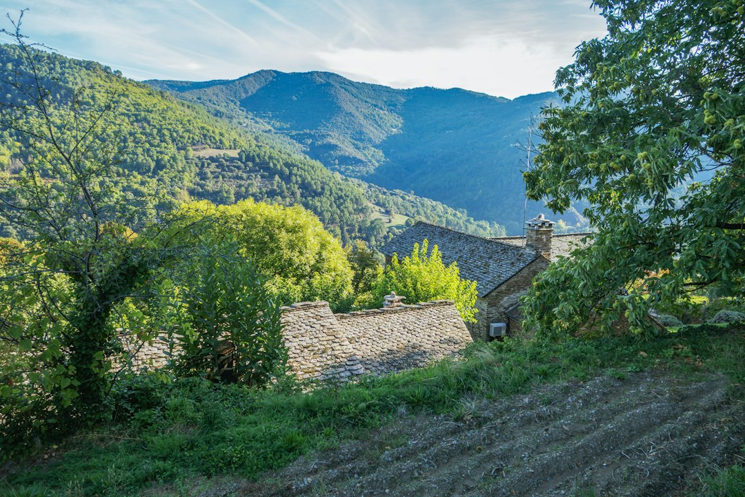Paysage des Cévennes, région du Salon Zen et Arts Divinatoires de Méjannes-lès-Alès
